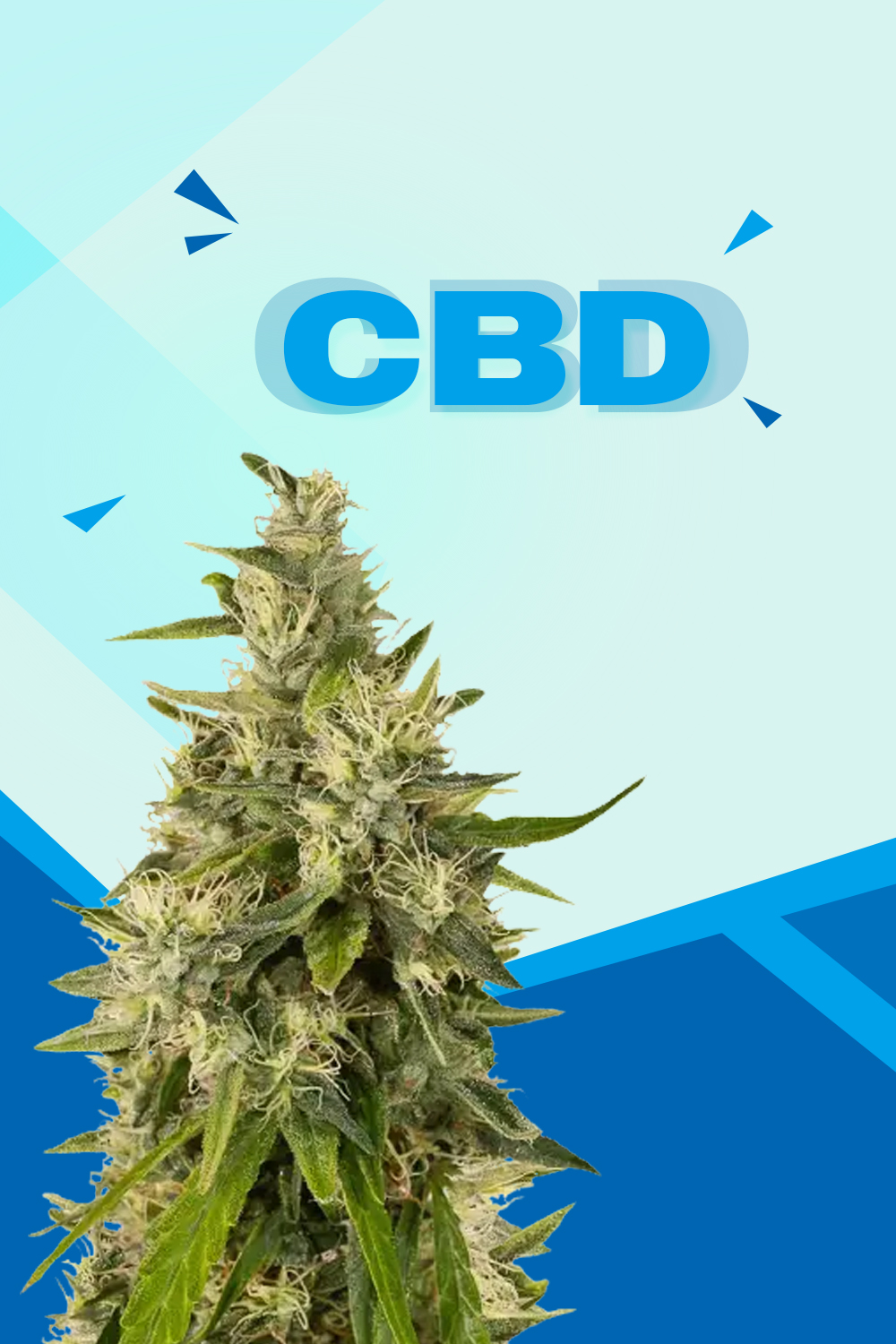 CBD
