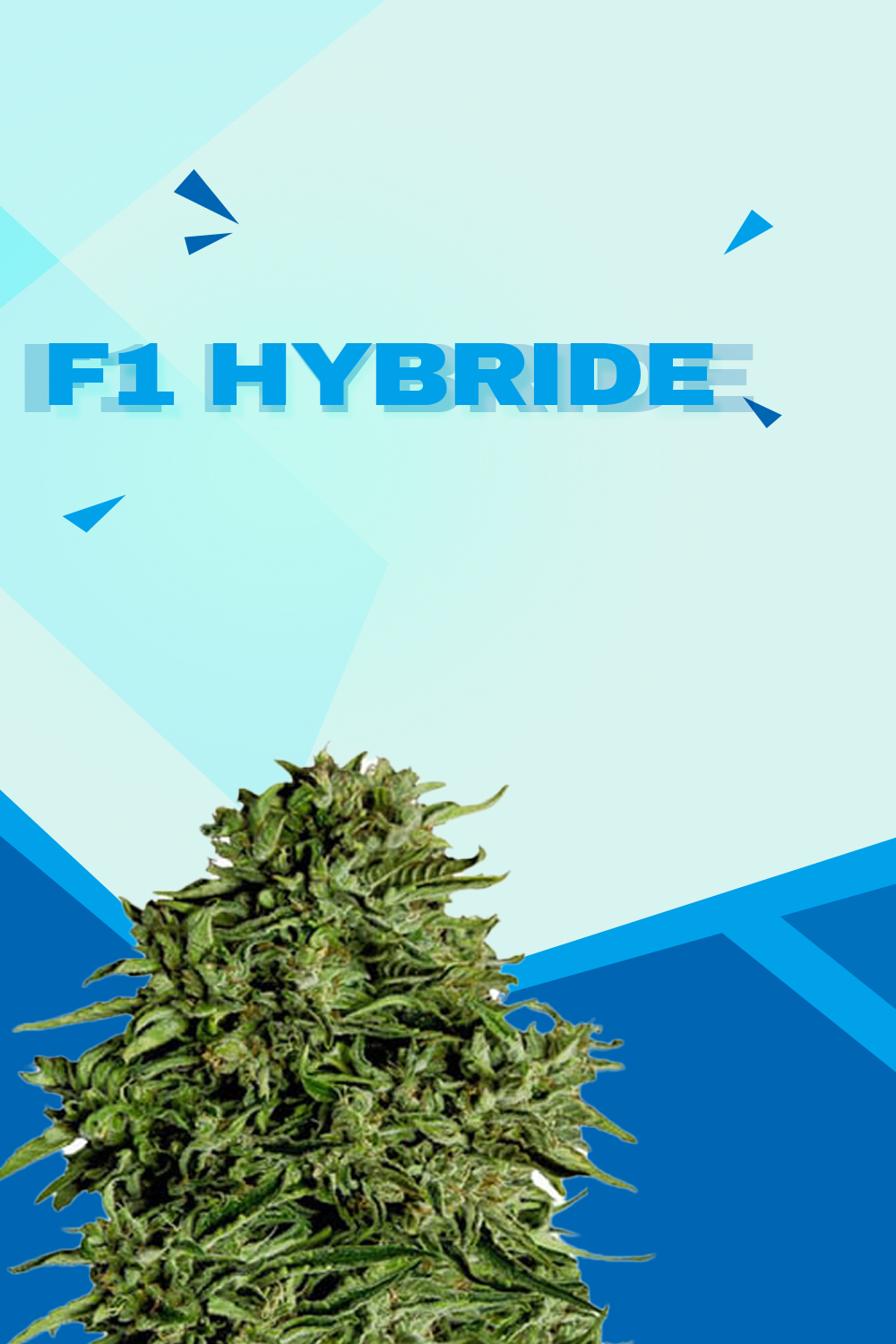 F1 Hybride